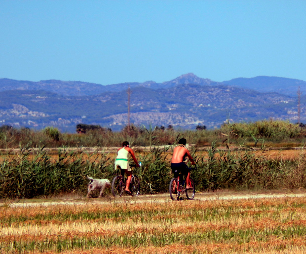 ALQUILER DE BICICLETAS